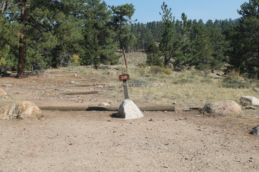 Campsite 116 in Moraine Park Campground at Rocky Mountain National Park